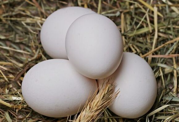 يتضمن رجيم البيض تناول بيض الدجاج يوميًا. 