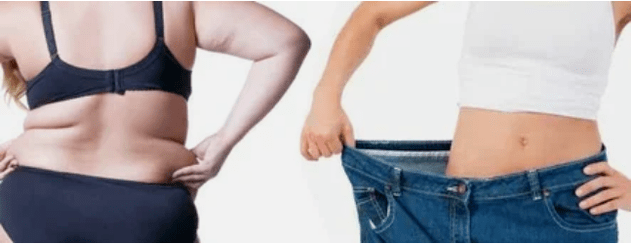 مبادئ قائمة النظام الغذائي المحبوب