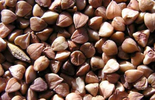ساراسين القمح الأساسية